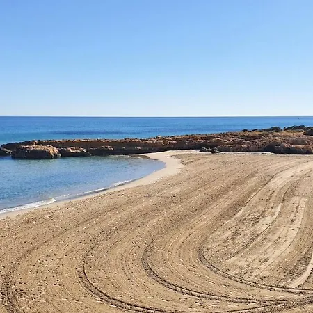 Pink Oasis アリカンテ